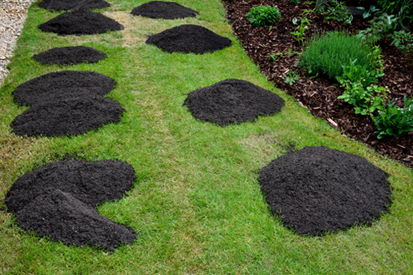 Piles of soil on lawn